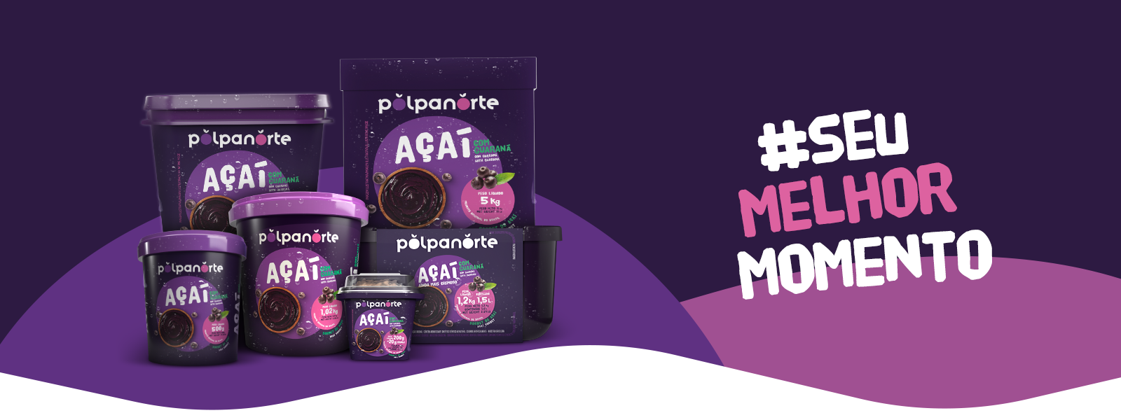 Açaí Polpanorte